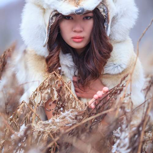 from the Wolf Clan