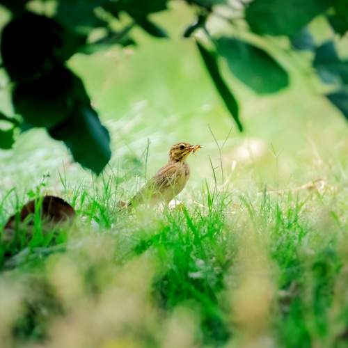 Photo #13601769