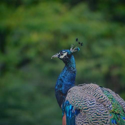 Photo #13601771