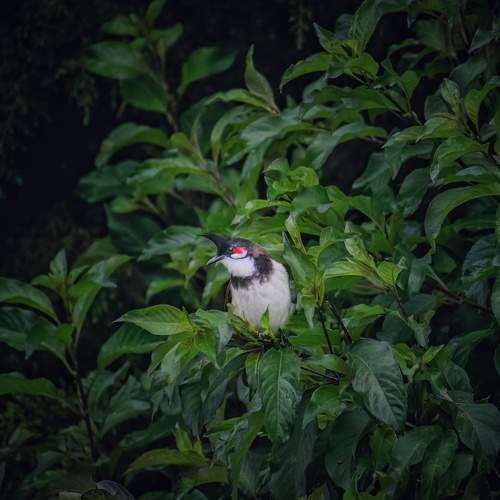 Photo #13601772
