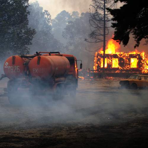 Photo #13601788
