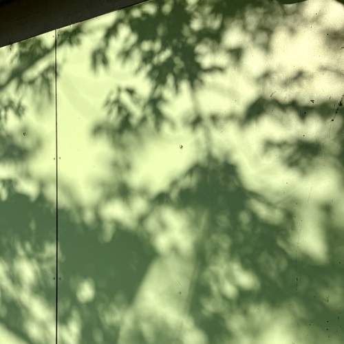 Photo #13601833