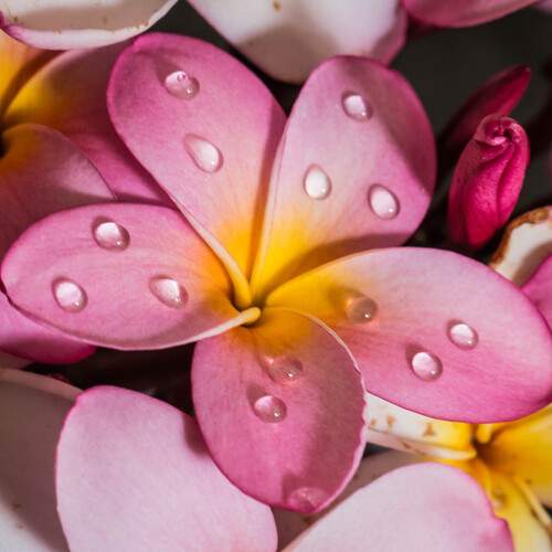 Photo #13601959