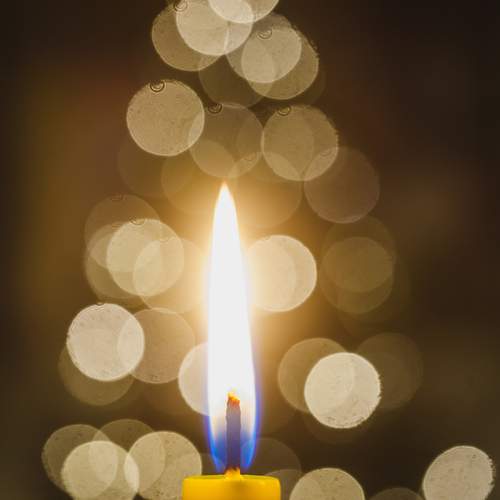 Photo #13601964