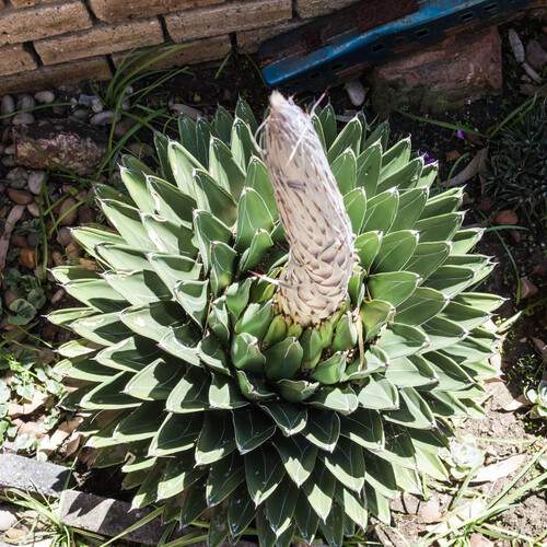 Photo #13601968