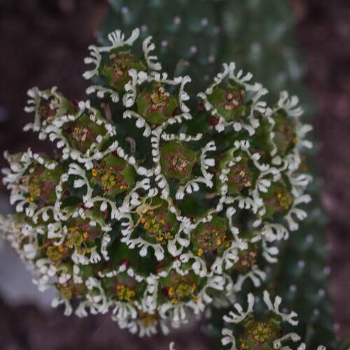 Photo #13601972
