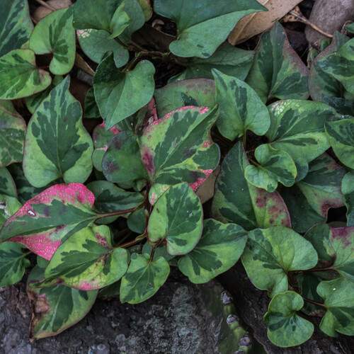 Photo #13601974