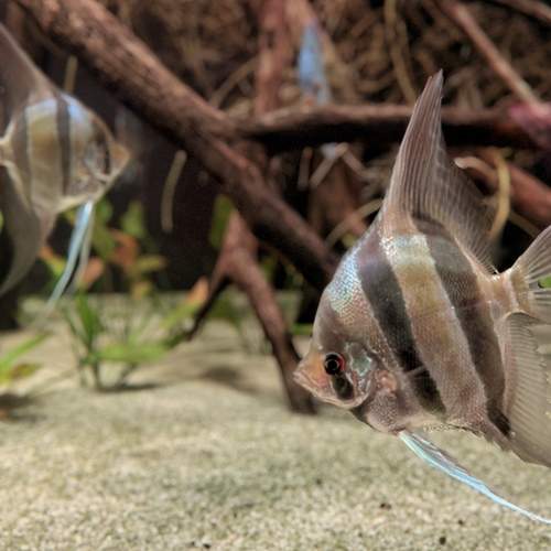 Photo #13602020