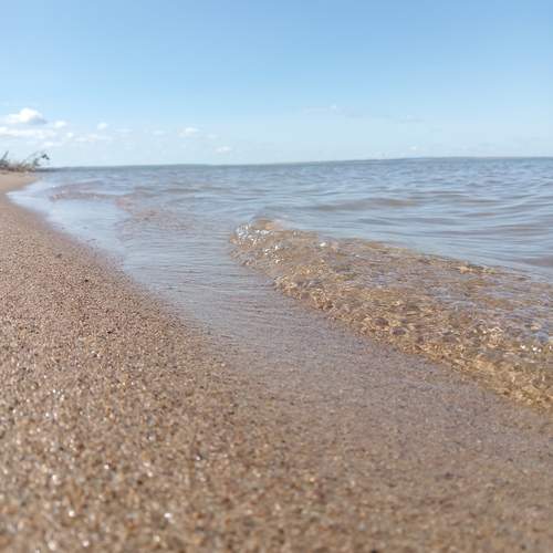 Photo #13602066
