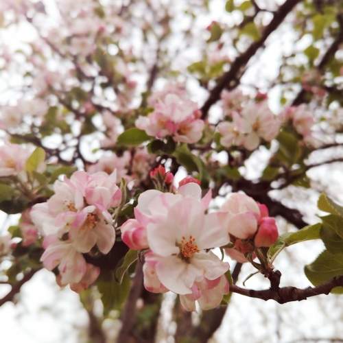 Photo #13602117