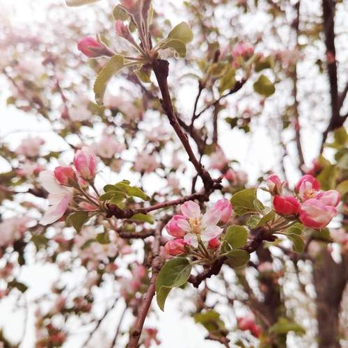 Photo #13602118