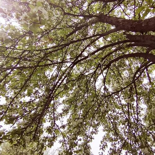 Photo #13602119
