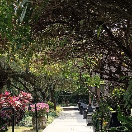 Photo #13602139