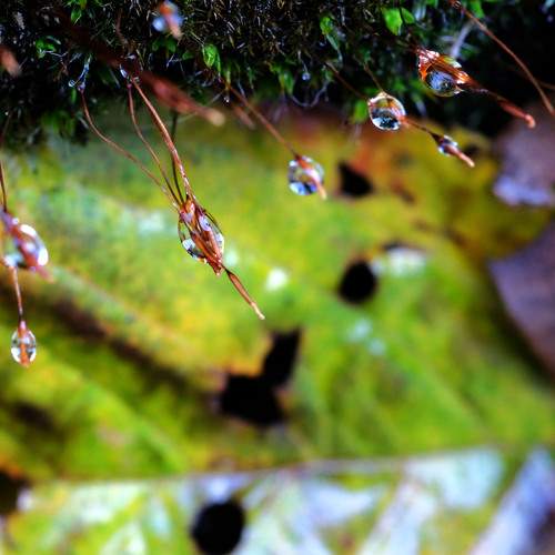 Photo #13602143