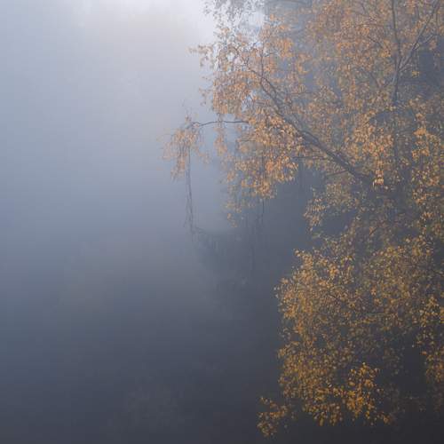 Photo #13602262