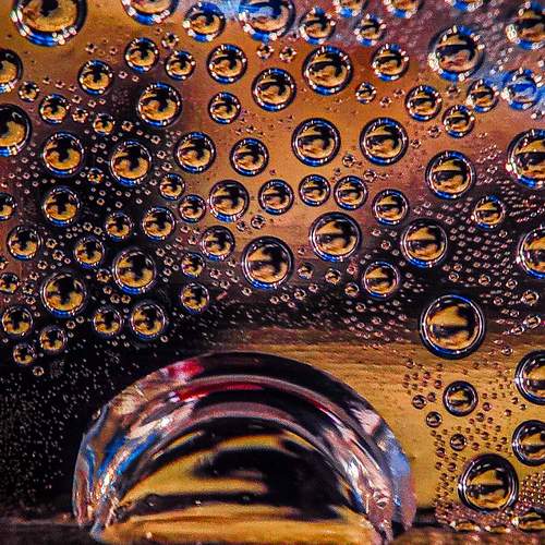 Photo #13602270