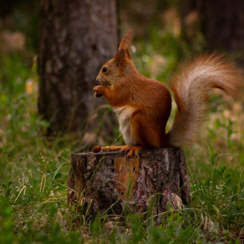 Photo #13602349