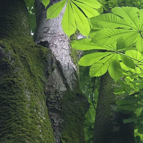 Photo #13602371