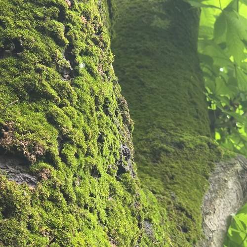 Photo #13602374
