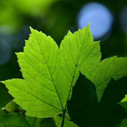Photo #13602376