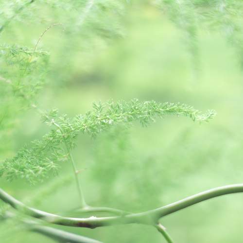 Photo #13602382