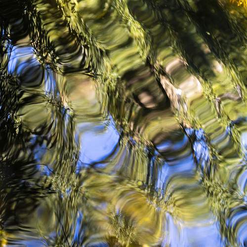 Photo #13602383