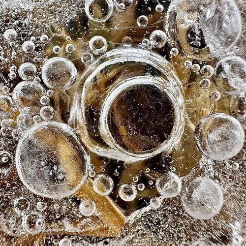 Photo #13602557
