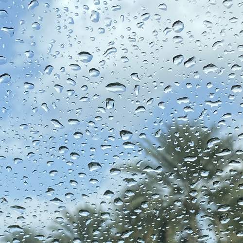 Photo #13602628