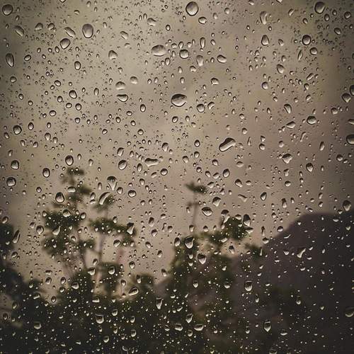 Photo #13602632