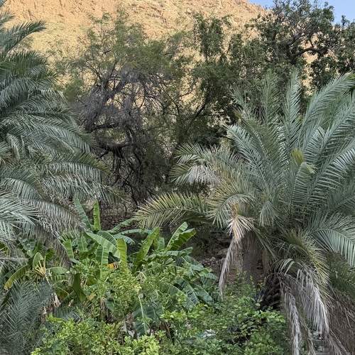 Photo #13602653