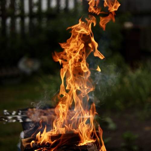Photo #13602725