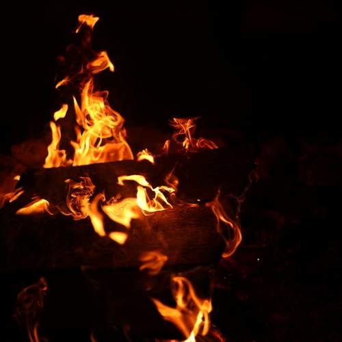 Photo #13602727