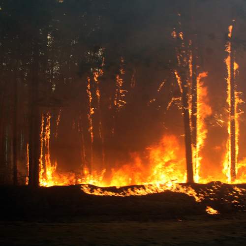 Photo #13602759