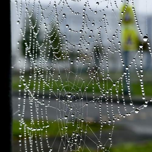 Photo #13602798