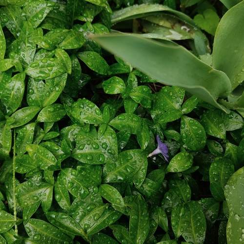 Photo #13602876
