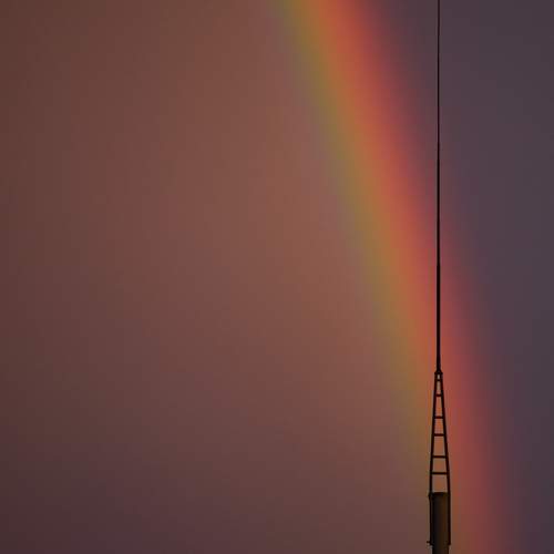 Photo #13602979
