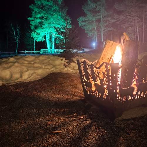 Photo #13603008