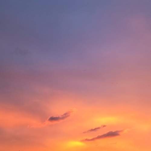 Photo #13603029