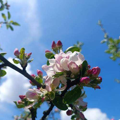 Photo #13603030