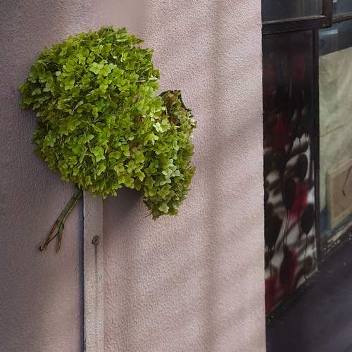 Photo #13603048