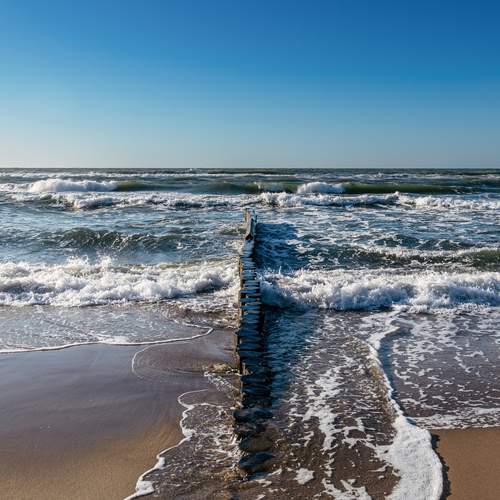 Photo #13603077