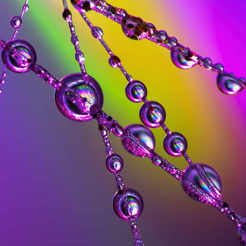 Photo #13603160