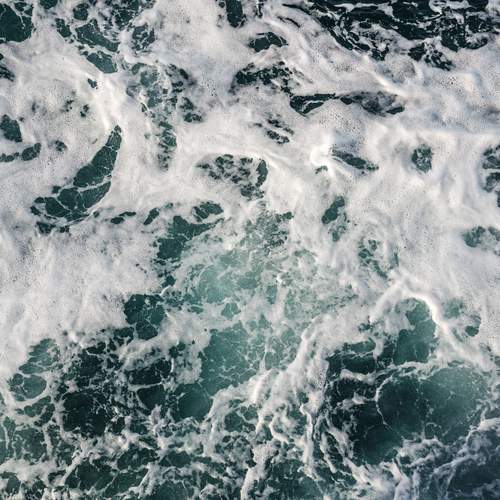 Photo #13603161