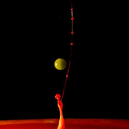Photo #13603169