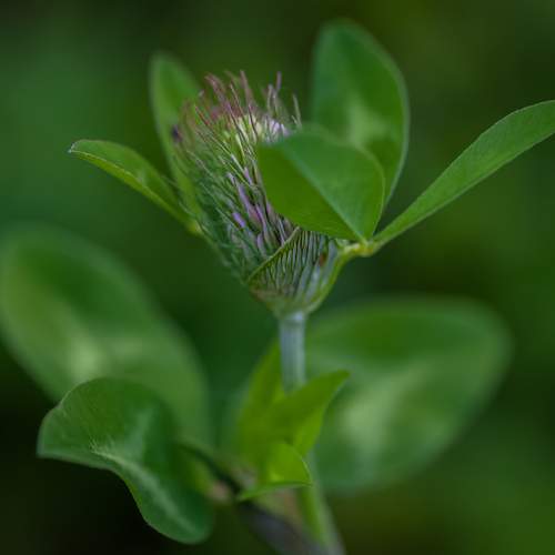 Photo #13603223