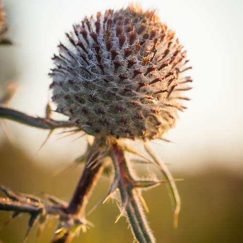 Photo #13603226