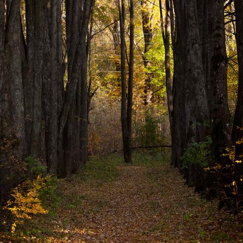 Photo #13603227
