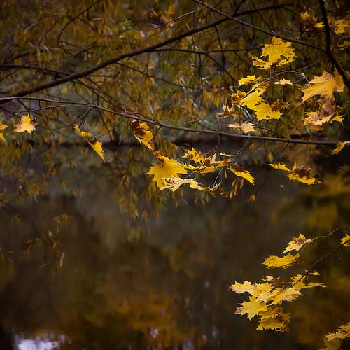 Photo #13603233