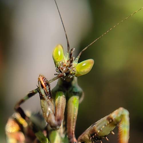 Photo #13603263
