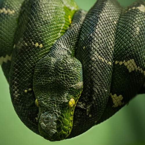Photo #13603280